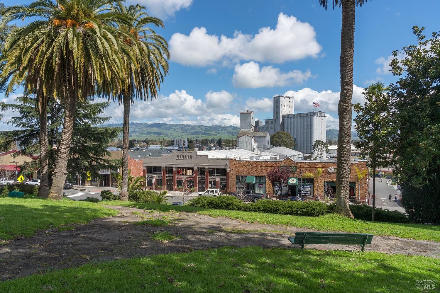 This scenic view from a grassy park hill overlooks a charming downtown area featuring historic brick buildings and a prominent industrial grain silo complex in the background. The foreground includes a peaceful green space with a park bench and mature palm trees, creating a relaxing atmosphere. The perspective captures a blend of urban architecture and natural beauty under a bright, partly cloudy sky.