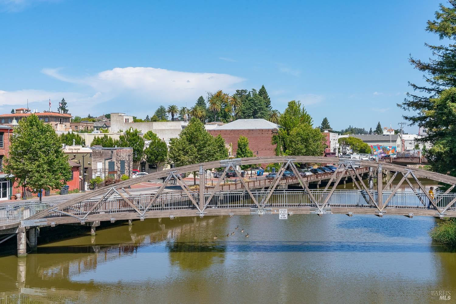 This image captures a scenic pedestrian bridge arching gracefully over a calm river, serving as a prominent community feature. The surrounding area includes lush green trees, historic-style buildings, and a paved walkway, creating a charming and inviting urban atmosphere. The perspective is a wide, eye-level shot that emphasizes the bridge's architectural design and its integration into the local landscape.
