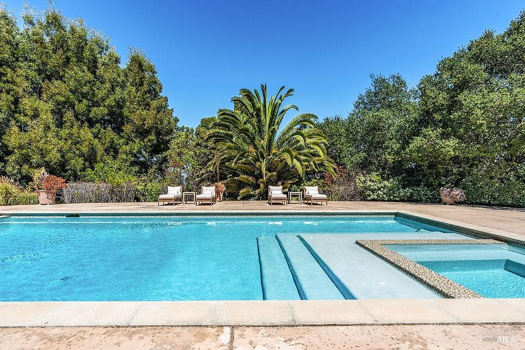 This image showcases a luxurious swimming pool and spa area, surrounded by lush greenery and mature trees. The pool features a modern design with integrated steps and a separate spa area with decorative tiling. Lounge chairs are arranged along the pool deck, creating an inviting and relaxing outdoor space.