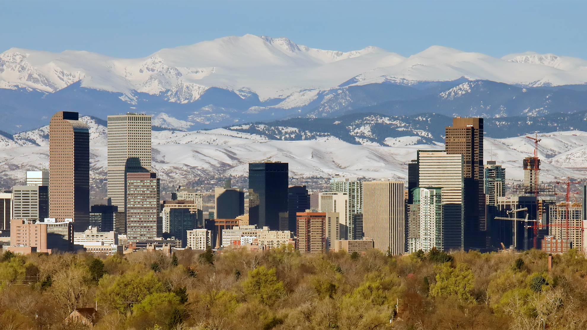 This image showcases a skyline view of a major city, likely Denver, with a backdrop of snow-capped mountains. The foreground includes trees and foliage, adding a touch of natural beauty to the urban landscape. The prominent skyscrapers would be attractive to potential tenants looking for luxury real estate.