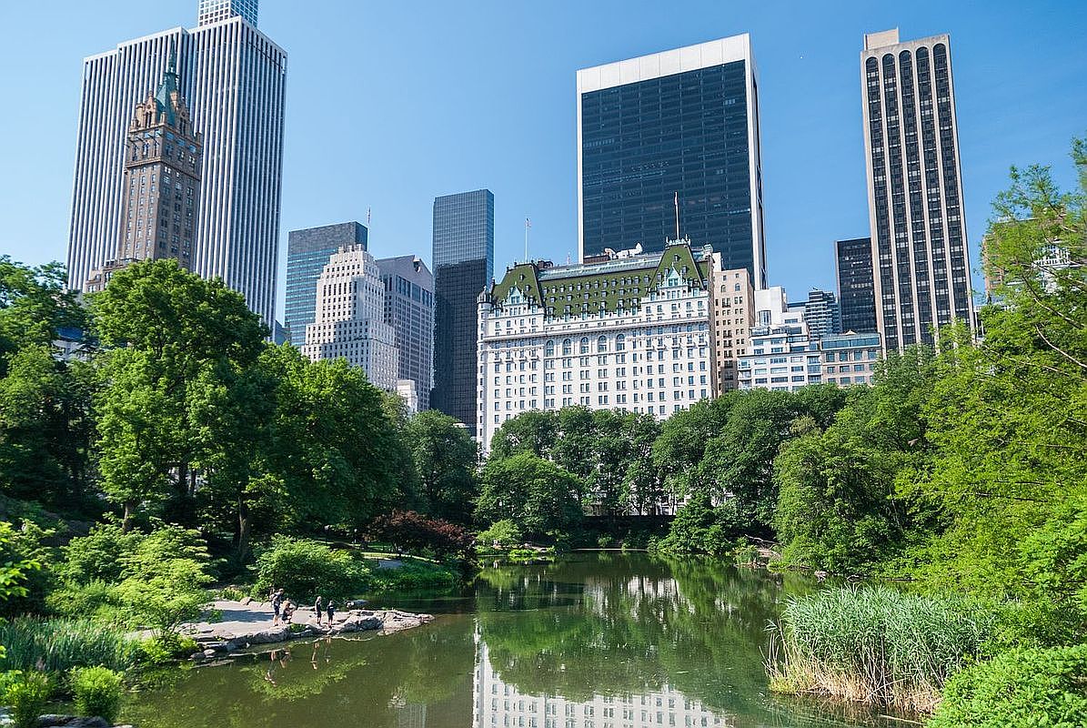 This scenic view captures a lush, green park landscape featuring a tranquil pond in the foreground, framed by dense trees and reeds. In the background, a striking skyline of iconic New York City skyscrapers rises against a clear blue sky, showcasing a blend of historic and modern architecture. The perspective is taken from a low angle at the water's edge, emphasizing the peaceful contrast between the natural park setting and the bustling urban environment.