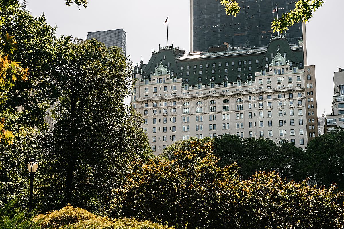 This image captures a grand, historic hotel building in New York City, characterized by its ornate French Renaissance-inspired architecture and a prominent green mansard roof. The structure is framed by lush, mature trees in the foreground, suggesting a location adjacent to a park, while a modern skyscraper rises in the background. The perspective is from a low angle, emphasizing the building's imposing scale and classic urban elegance.