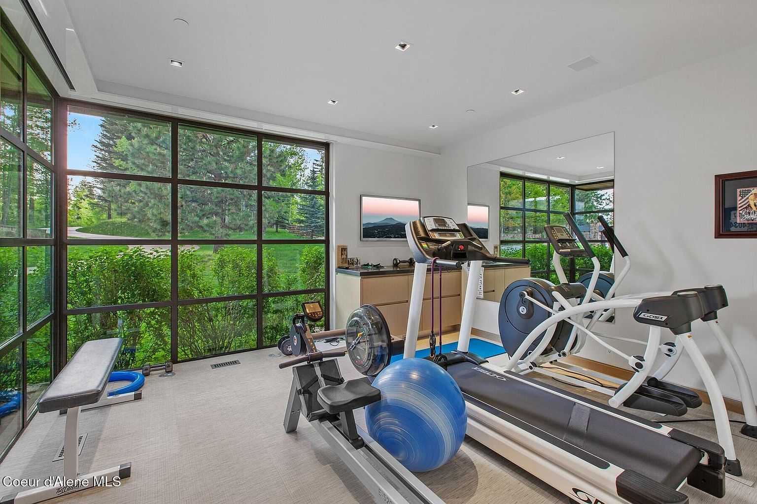 This is an interior shot of a well-equipped home gym. The room features large windows offering a view of lush greenery, bringing natural light into the space. Various exercise machines, including a treadmill, elliptical, and rowing machine, are present, along with free weights and a fitness ball, creating a comprehensive workout environment.