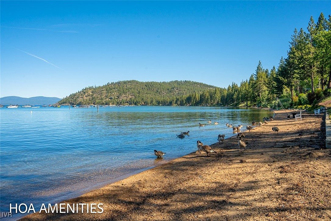 The image showcases a serene lakeside beach area, likely part of a community's amenities. Clear blue water meets a sandy shore where several geese are gathered. In the background, a forested hill and a clear sky create a peaceful and inviting atmosphere, suggesting a desirable recreational space.