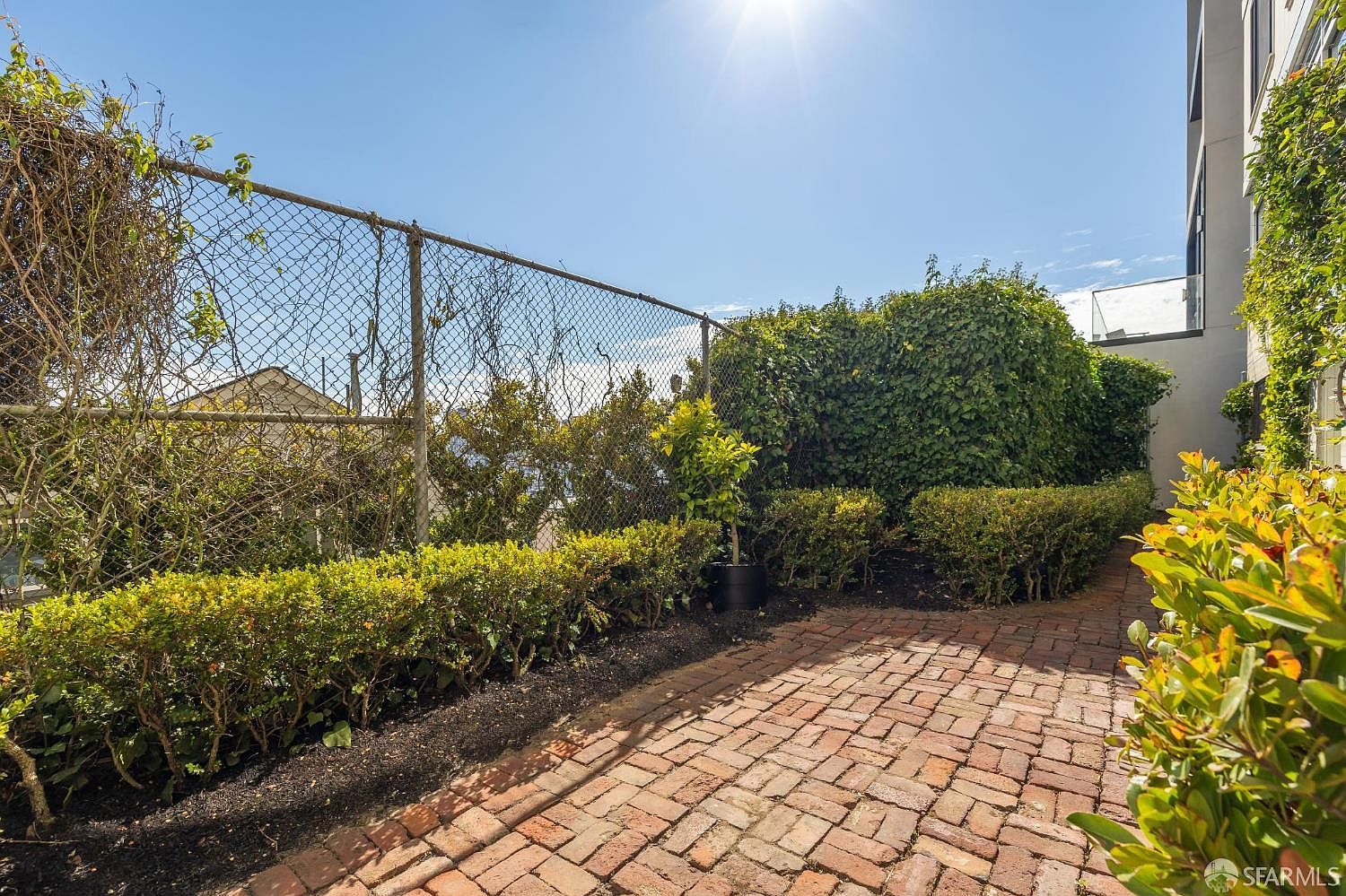 This is a view of a well-maintained garden area, featuring a brick pathway, manicured hedges, and a chain-link fence partially covered with vines. A small tree in a pot adds a touch of greenery, and the overall impression is a peaceful and private outdoor space. The perspective is at ground level, looking into the garden.