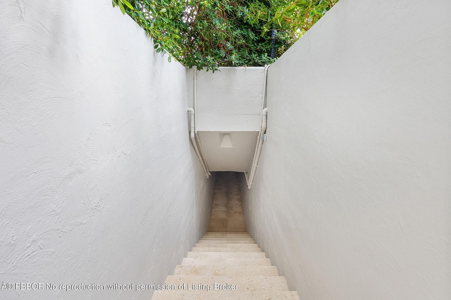 This image captures a set of outdoor concrete stairs descending into a subterranean or basement-level entrance. The staircase is flanked by high, smooth white stucco walls that create a narrow, tunnel-like passage leading toward a dark doorway. Lush green foliage hangs over the top of the stairwell, providing a natural contrast to the stark, minimalist architecture.