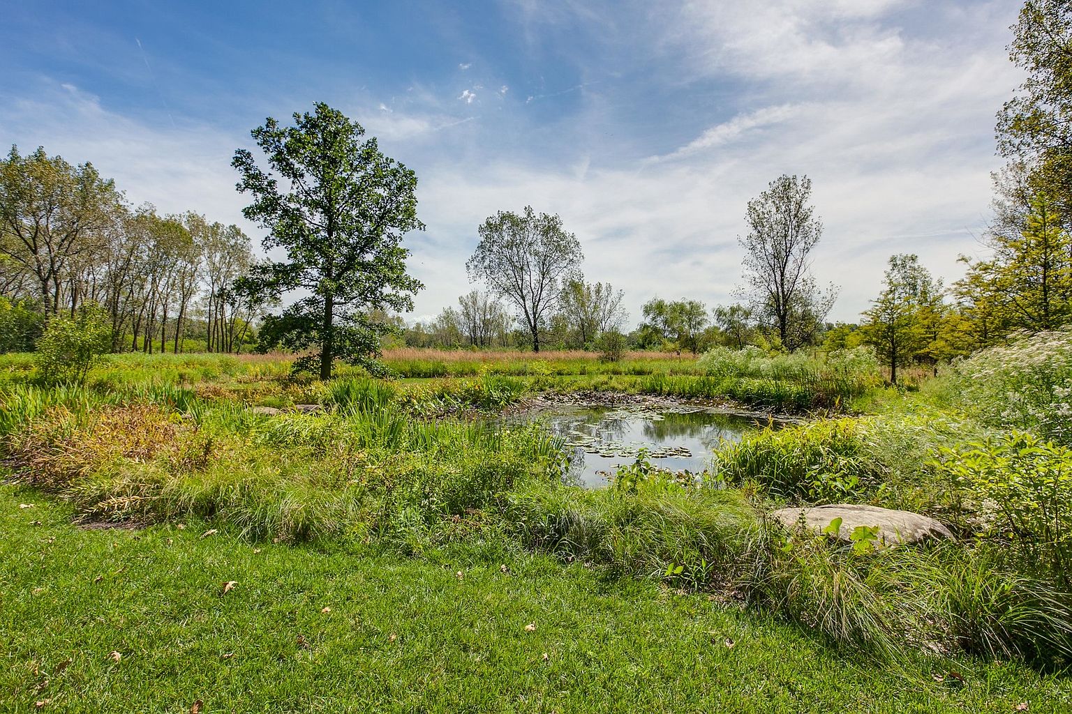 This image showcases a serene yard or garden with a small pond as its focal point. Lush greenery surrounds the pond, with various trees and plants adding depth and texture to the landscape. The scene is bathed in natural light under a partly cloudy sky, creating a peaceful and inviting atmosphere.