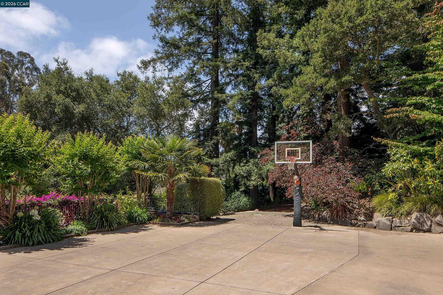 This outdoor space features a paved basketball court set against a backdrop of lush, mature trees and vibrant landscaping. A basketball hoop stands prominently on the court, which is bordered by a mix of flowering shrubs, palm trees, and a stone retaining wall. The scene offers a private, recreational atmosphere nestled within a wooded environment.