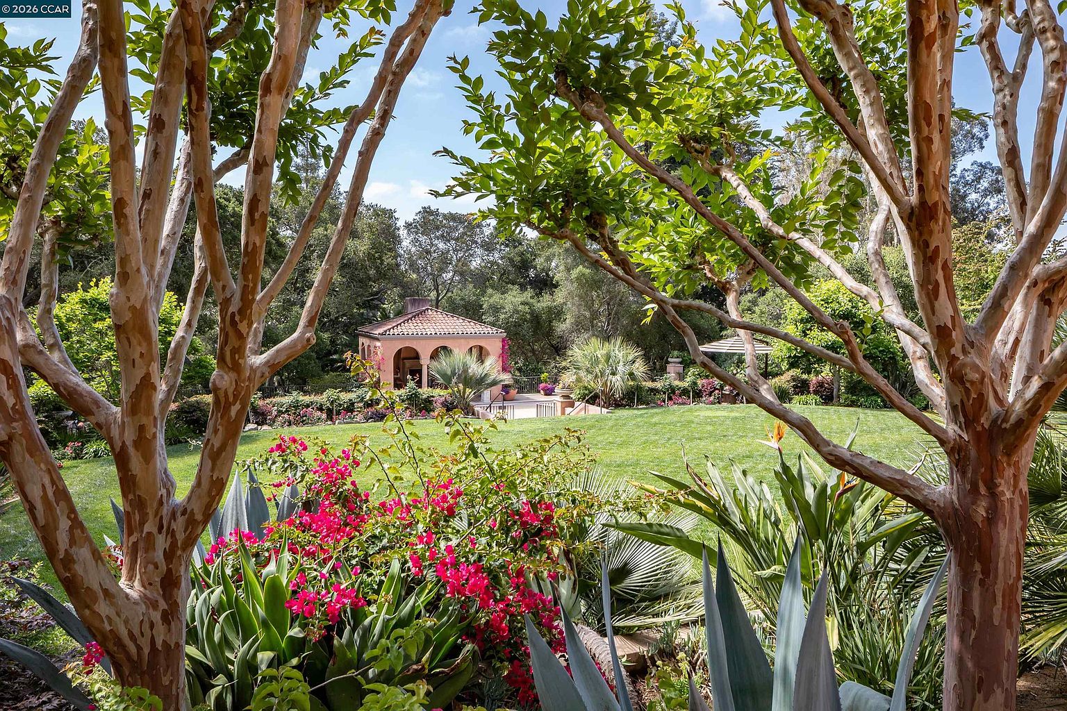 This lush, landscaped garden features a vibrant foreground of blooming bougainvillea and agave plants framed by the textured trunks of mature trees. In the background, a Mediterranean-style pavilion with arched openings and a terracotta-tiled roof sits at the edge of a manicured lawn. The scene is captured from a slightly elevated perspective, looking through the natural canopy of the trees toward the serene outdoor living space.