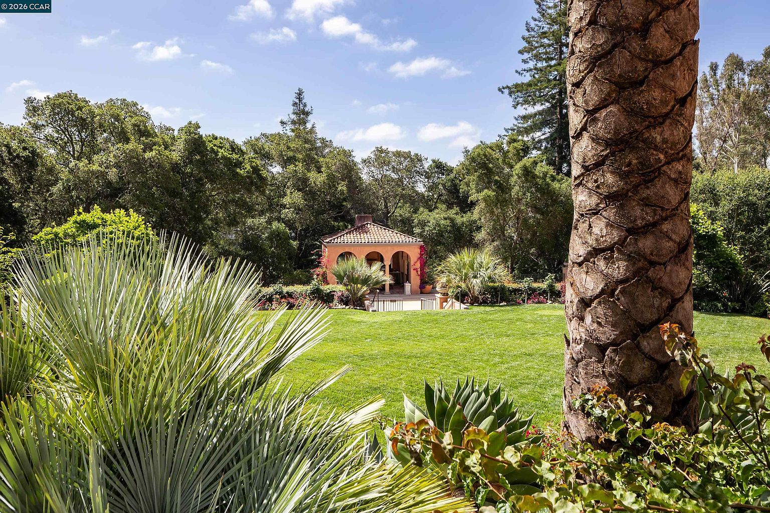 This serene backyard scene features a lush, manicured lawn leading to a charming Mediterranean-style pavilion with arched openings and a tiled roof. The foreground is framed by the textured bark of a large palm tree and vibrant, spiky desert-style foliage, creating a sense of depth and natural beauty. The perspective is from a slightly elevated position, looking across the open green space toward the shaded structure nestled among mature trees.