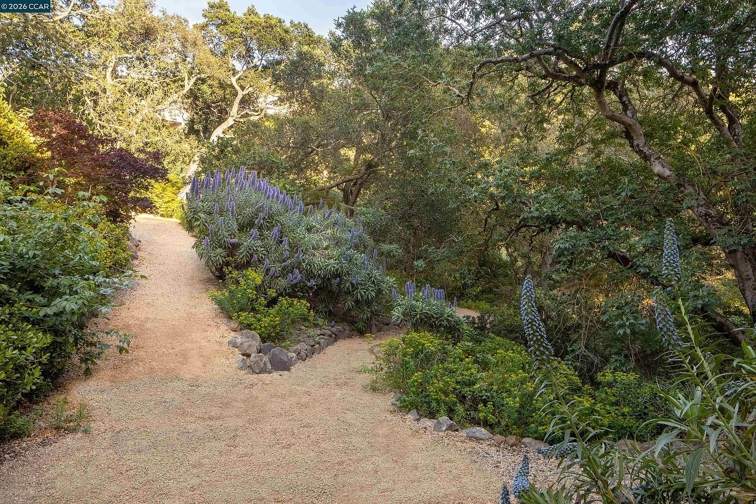 This serene garden path features a winding gravel walkway bordered by natural stone edging and lush, mature landscaping. Tall, vibrant purple flower spikes stand out against a backdrop of dense, leafy trees and shrubs, creating a tranquil and private outdoor atmosphere. The perspective is a slightly elevated eye-level shot looking down the path, emphasizing the natural beauty and peaceful seclusion of the property's grounds.