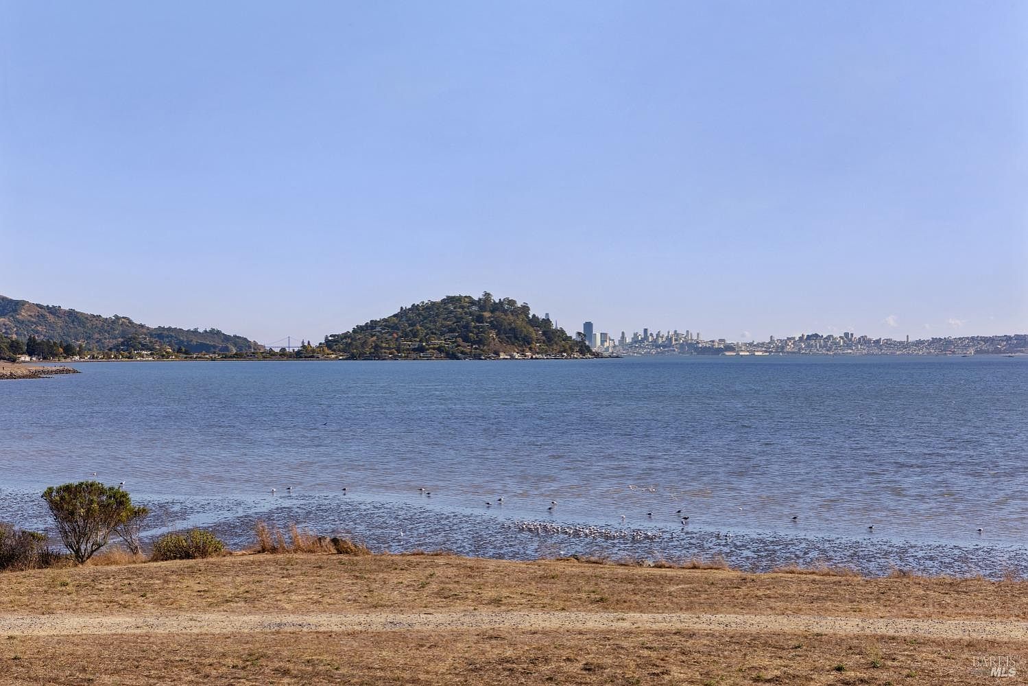 This scenic view showcases a tranquil bay with a distant cityscape, suggesting a peaceful community amenity like a park or waterfront area. The foreground features a grassy area leading to the water's edge, where birds gather. The overall impression is one of serenity and natural beauty, highlighting the desirable location and potential recreational opportunities.