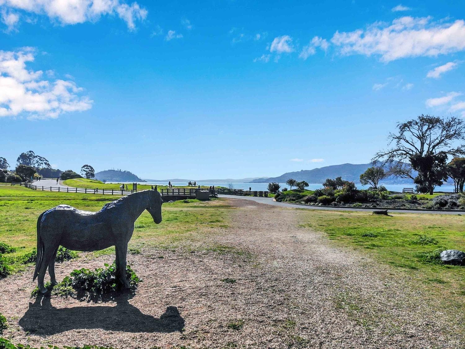 This image showcases a scenic park area with a bronze horse statue in the foreground. A paved path leads towards a waterfront view with distant mountains, under a bright blue sky with scattered clouds. The landscape features a mix of grassy areas and trees, creating a tranquil and inviting atmosphere.