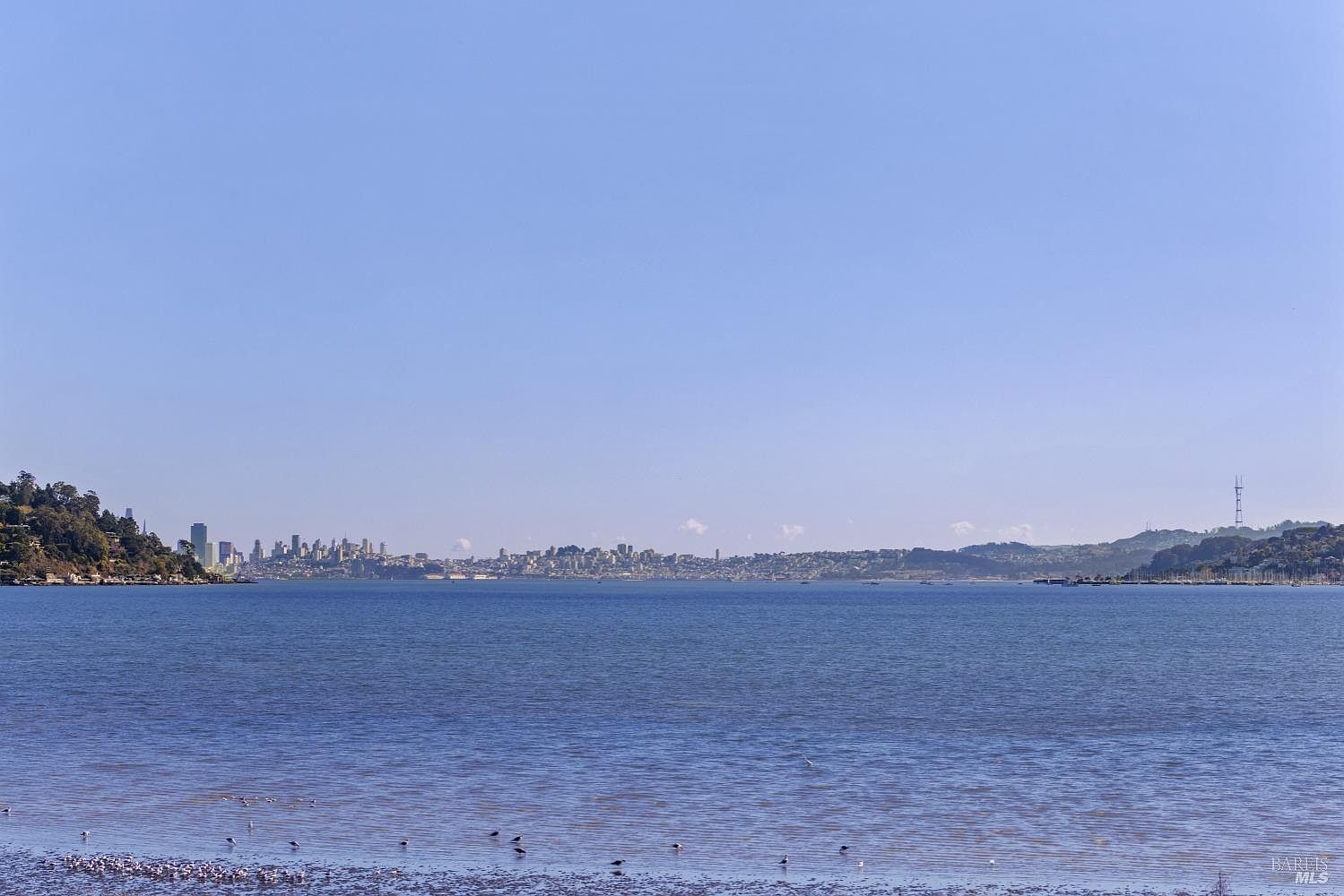 The image showcases a serene waterfront view with a cityscape in the distance under a clear blue sky. The calm water reflects the sky, creating a sense of tranquility and openness. The foreground features a shoreline with birds, adding a touch of nature to the scene.
