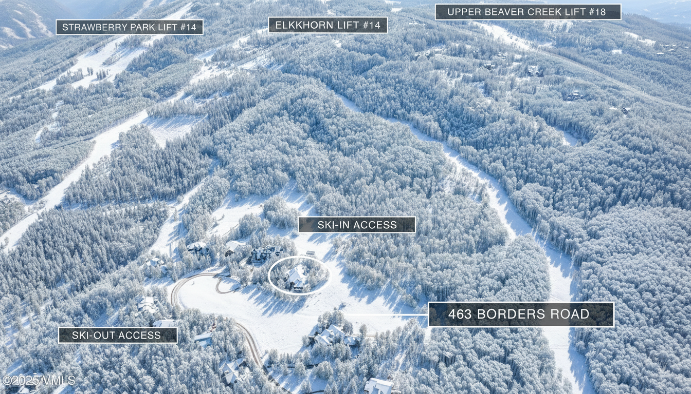 This is an aerial view of a property located near Strawberry Park Lift #14, Elkhorn Lift #14 and Upper Beaver Creek Lift #18. The address '463 Borders Road' is indicated, and there are labels for 'Ski-in Access' and 'Ski-out Access'. The surrounding landscape is heavily wooded and covered in snow, suggesting a ski resort location.