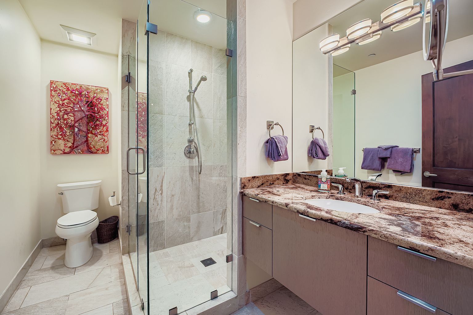 This is a well-lit primary bathroom featuring a glass-enclosed shower with tile walls and a modern shower head. The vanity has a granite countertop, light wood cabinets, and a large mirror with contemporary lighting. A toilet and artwork are visible on the left, contributing to a clean and upscale aesthetic.