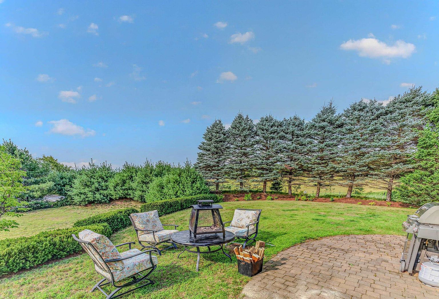 This inviting backyard space features a paved stone patio area equipped with a grill and a cozy seating arrangement centered around a metal fire pit. The lawn is neatly manicured and bordered by a low, sculpted hedge, leading to a backdrop of mature evergreen trees that provide privacy and a lush, natural aesthetic. The perspective is from the patio looking out toward the expansive green space under a bright, partly cloudy sky.