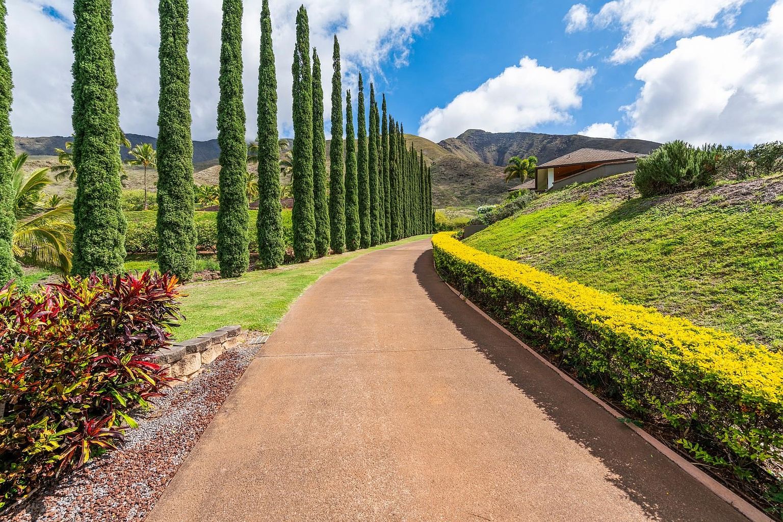This image showcases a beautifully landscaped yard with a long, winding driveway lined with tall, slender trees on one side and a vibrant yellow hedge on the other. The driveway leads towards a house nestled on a grassy hill, with mountains visible in the background under a partly cloudy sky. The scene evokes a sense of tranquility and upscale living.
