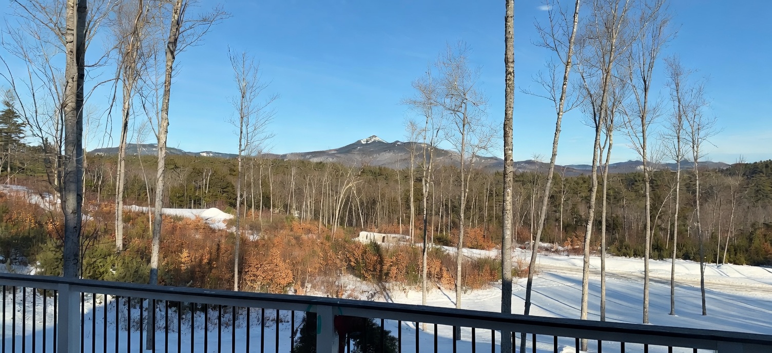 This image is taken from an elevated deck or balcony, offering a panoramic, cinematic view of a snow-covered landscape and distant mountain ranges. The foreground features a dark railing, while the mid-ground shows a wooded area with a small structure, leading the eye toward the prominent, labeled mountain peaks in the background. The scene is captured on a clear, sunny day, emphasizing the expansive natural beauty and scenic vistas available from the property.