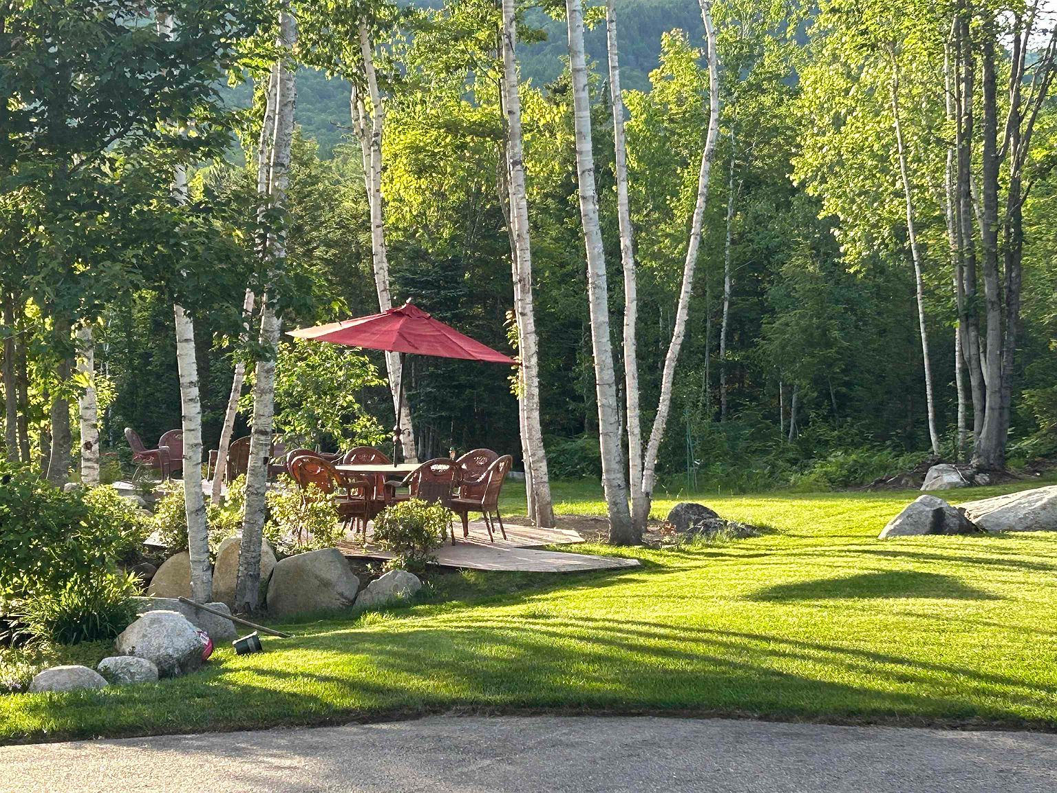 This serene backyard scene features a lush, well-manicured lawn framed by a cluster of slender birch trees. A small wooden deck area hosts a dining set with a vibrant red umbrella, creating a cozy outdoor living space nestled against a backdrop of dense forest. The perspective is from a low angle, capturing the interplay of dappled sunlight and shadows across the grass and the natural stone accents surrounding the patio.