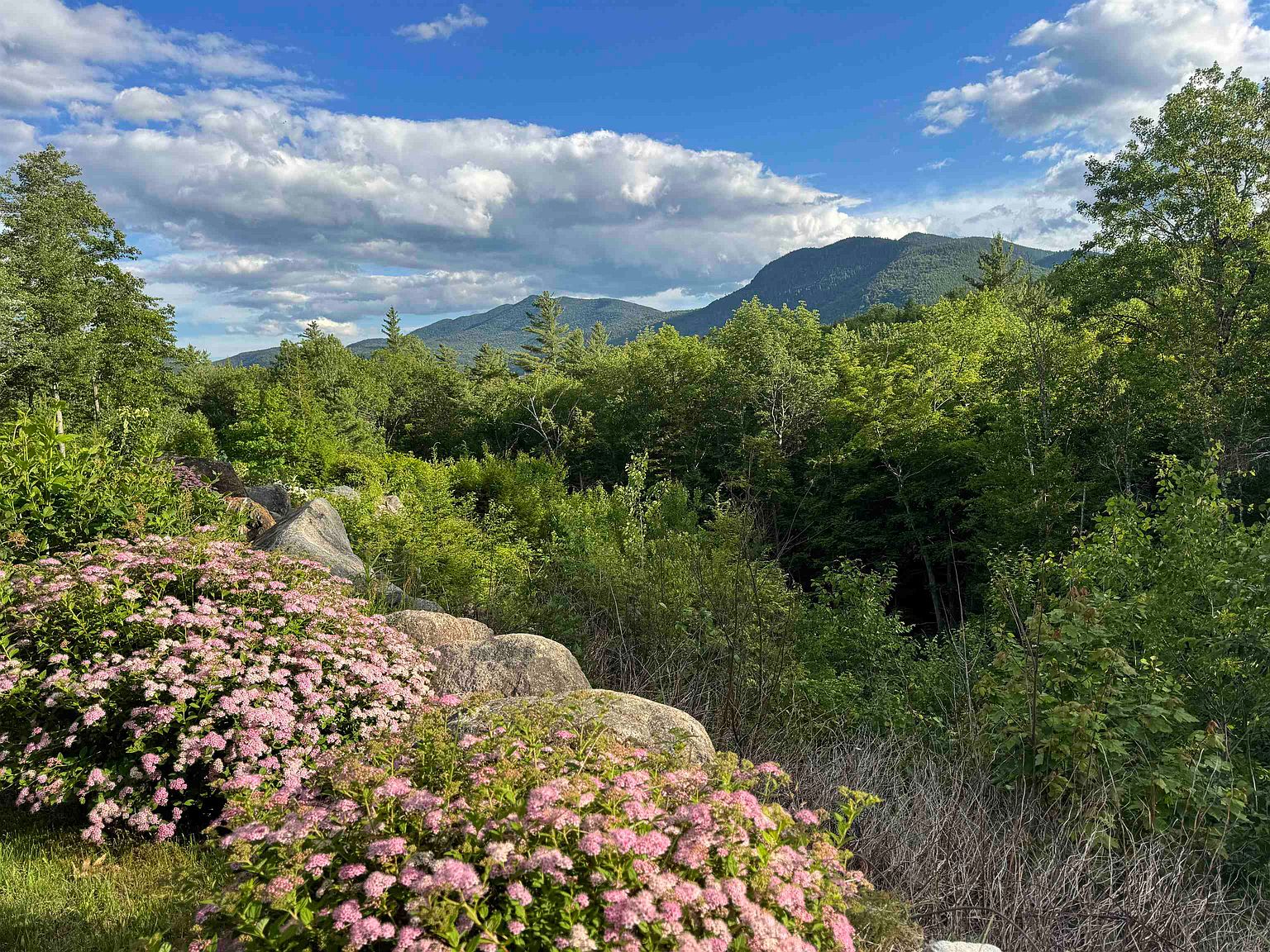 This scenic outdoor space features a vibrant foreground of blooming pink spirea bushes nestled among natural rock formations. The perspective looks out over a lush, dense forest canopy toward rolling mountains under a bright, cloud-dappled sky. The setting offers a serene and picturesque view, highlighting the natural beauty and privacy of the property's landscape.