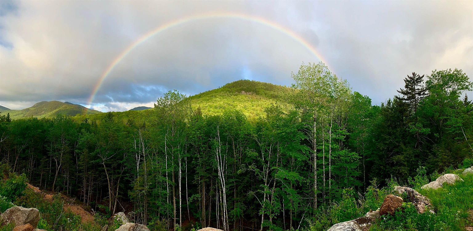 This panoramic landscape shot captures a lush, green mountain range under a dramatic sky featuring a vibrant, full-arc rainbow. The foreground consists of a dense forest of deciduous and coniferous trees, with rocky terrain visible at the base. The perspective is a wide-angle, eye-level view that emphasizes the expansive natural beauty and serene atmosphere of the property's surroundings.