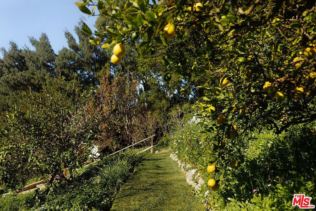 This lush, sun-drenched garden path is framed by vibrant lemon trees heavy with fruit, creating a serene and picturesque atmosphere. A neatly manicured grass walkway leads through the verdant landscape, bordered by dense foliage and a rustic wooden fence. The scene captures a peaceful, Mediterranean-inspired outdoor retreat perfect for a tranquil stroll.