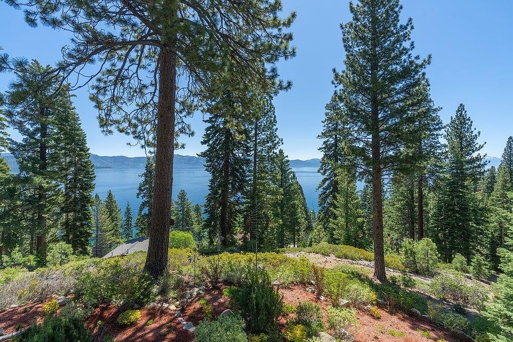 This elevated outdoor perspective captures a scenic, wooded landscape overlooking a vast, deep blue lake. The foreground features a natural, sloped terrain with pine needles, low-lying shrubs, and mature evergreen trees that frame the expansive water view. The bright, clear sky and natural setting create a serene and picturesque atmosphere, highlighting the property's connection to the surrounding wilderness.