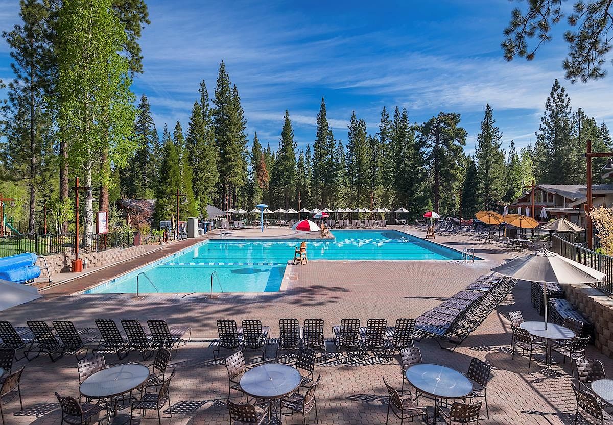 This expansive outdoor pool area features a large, rectangular swimming pool surrounded by a spacious brick-paved deck filled with numerous lounge chairs and dining tables under umbrellas. The scene is framed by a dense forest of tall pine trees under a bright blue sky, creating a serene and resort-like atmosphere. The perspective is captured from a slightly elevated vantage point, showcasing the layout of the pool deck and its integration with the surrounding natural landscape.