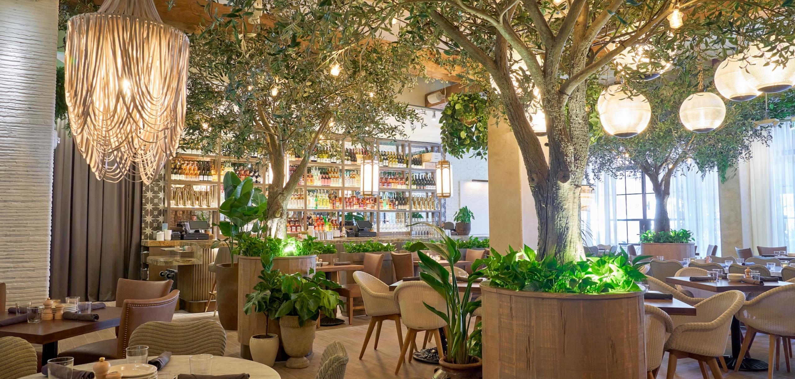 This is an interior shot of a dining room in a restaurant. The room is elegantly decorated with trees strategically placed amidst the tables. The lighting includes a large chandelier and individual table settings creating an upscale and inviting atmosphere.