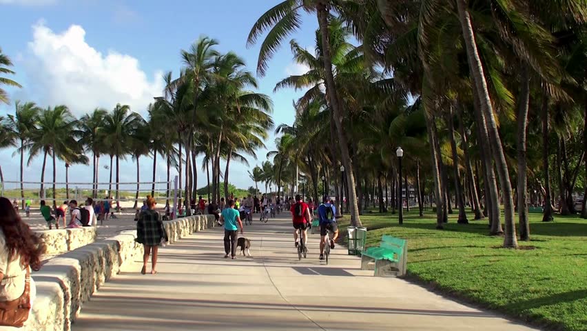 This image showcases a vibrant boardwalk lined with lush palm trees. People are seen strolling, biking, and enjoying the outdoor space, suggesting an active and engaging community. The scene evokes a sense of relaxation and leisure, highlighting the attractive outdoor amenities of the location.