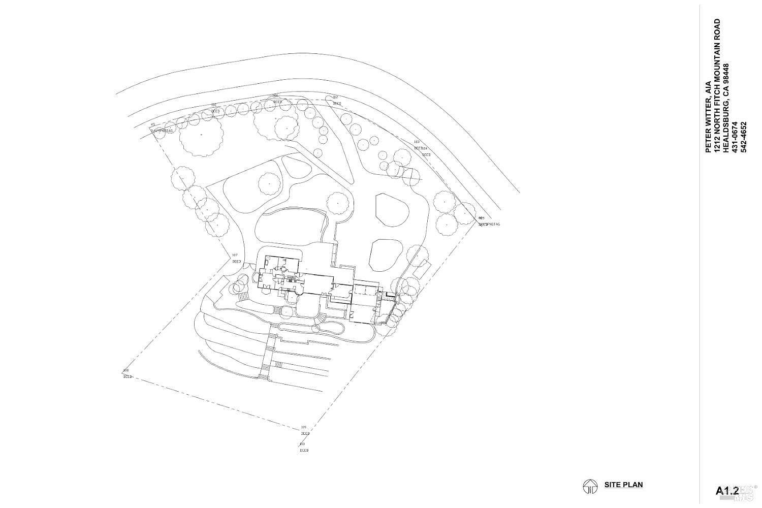 This image is a detailed architectural site plan showing the layout of a property, including the building footprint, surrounding landscaping, and driveway access. The drawing provides a top-down perspective of the lot, illustrating the placement of the house in relation to the trees and property boundaries. It serves as a technical document for understanding the spatial organization and site development of the estate.