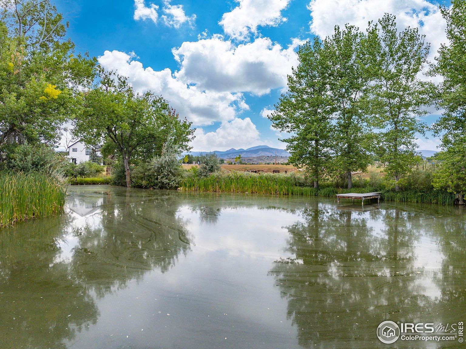 This exterior shot showcases a serene pond reflecting the sky and surrounding trees, creating a peaceful and natural ambiance. A small wooden dock extends into the water, inviting relaxation and contemplation. The landscape includes lush greenery and distant mountains, enhancing the property's appeal as a tranquil retreat.