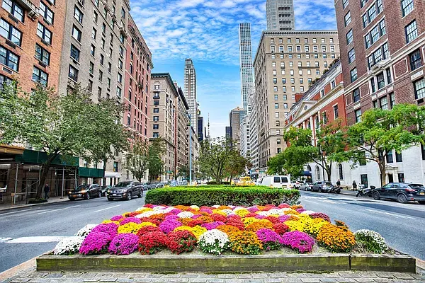 This image showcases a street view in a city featuring several tall buildings and a flower bed in the center of the road. The buildings appear to be residential or mixed-use, with brick and stone facades, and some featuring classic architectural details. The overall impression is a bustling urban environment with some greenery and floral elements adding a touch of natural beauty.