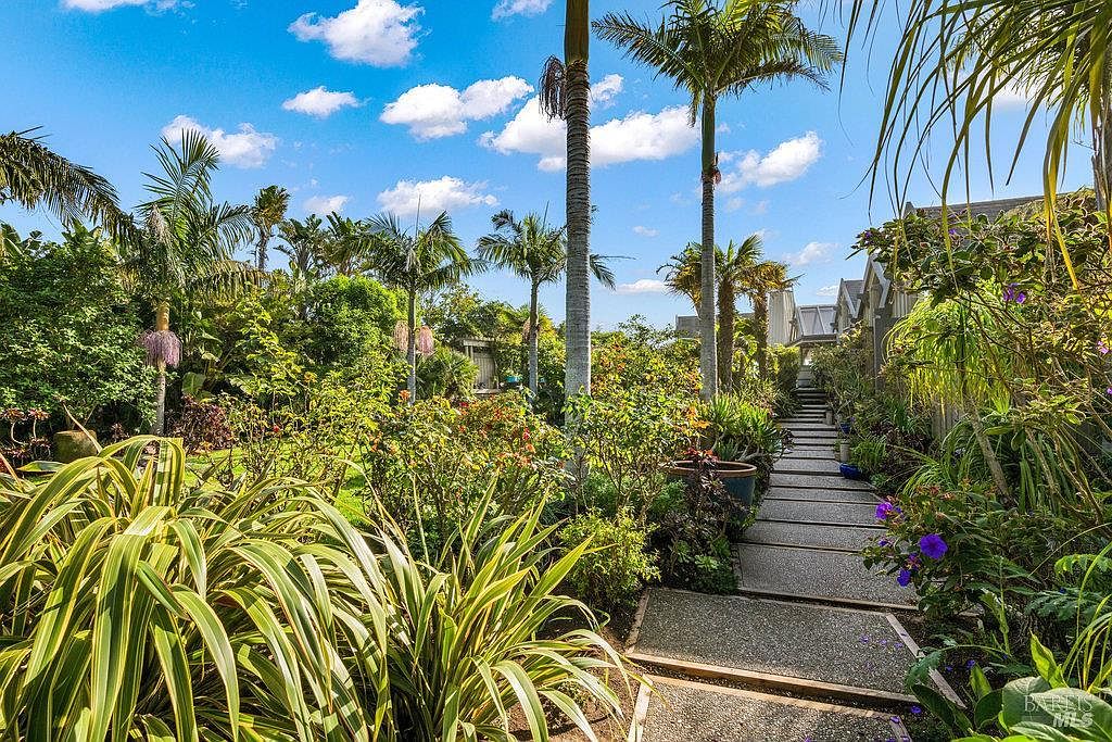 This lush, tropical-inspired garden features a stone-paved walkway leading toward the side of a residence, framed by vibrant greenery and tall palm trees. The scene is bathed in bright, natural sunlight under a clear blue sky, creating a serene and inviting outdoor atmosphere. The dense landscaping, including various shrubs and flowering plants, provides a sense of privacy and natural beauty.
