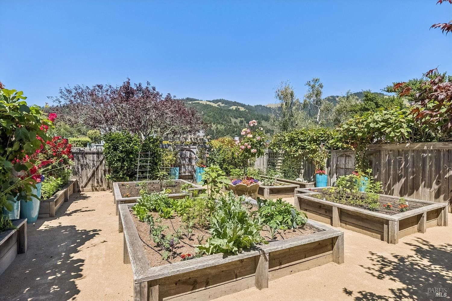 This well-maintained garden features multiple raised wooden planter beds filled with lush vegetables and flowers, set against a backdrop of rolling hills under a clear blue sky. A wooden fence encloses the space, which is finished with a light-colored gravel ground cover, creating a serene and organized outdoor retreat. The perspective is a ground-level shot looking across the garden, highlighting the structured layout and natural beauty of the landscape.