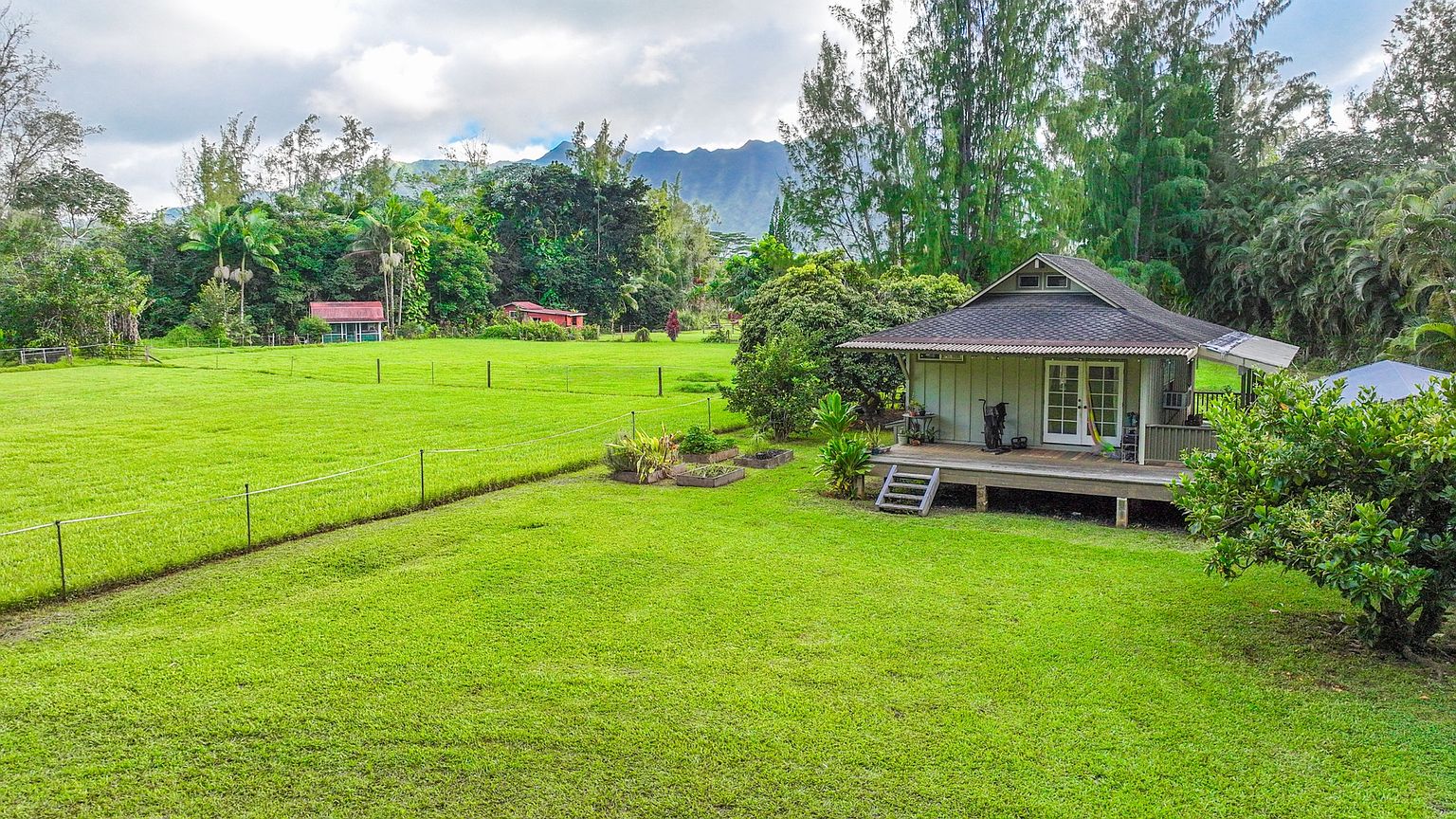 This image showcases a lush, well-maintained yard with a charming cottage-style home. The expansive green lawn is bordered by trees and foliage, creating a serene and private setting. A small deck extends from the house, offering an inviting outdoor living space. The perspective is a wide shot, capturing the vastness of the yard and the home's integration with the natural landscape.