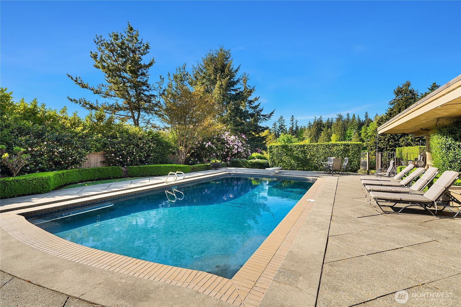 This bright, sun-drenched backyard features a large, rectangular swimming pool as the central focal point, surrounded by a spacious concrete patio. Several lounge chairs are neatly arranged on the right side, while a manicured hedge and lush green trees provide a sense of privacy and natural beauty. The scene is captured from a slightly elevated perspective, showcasing the inviting outdoor living space under a clear blue sky.