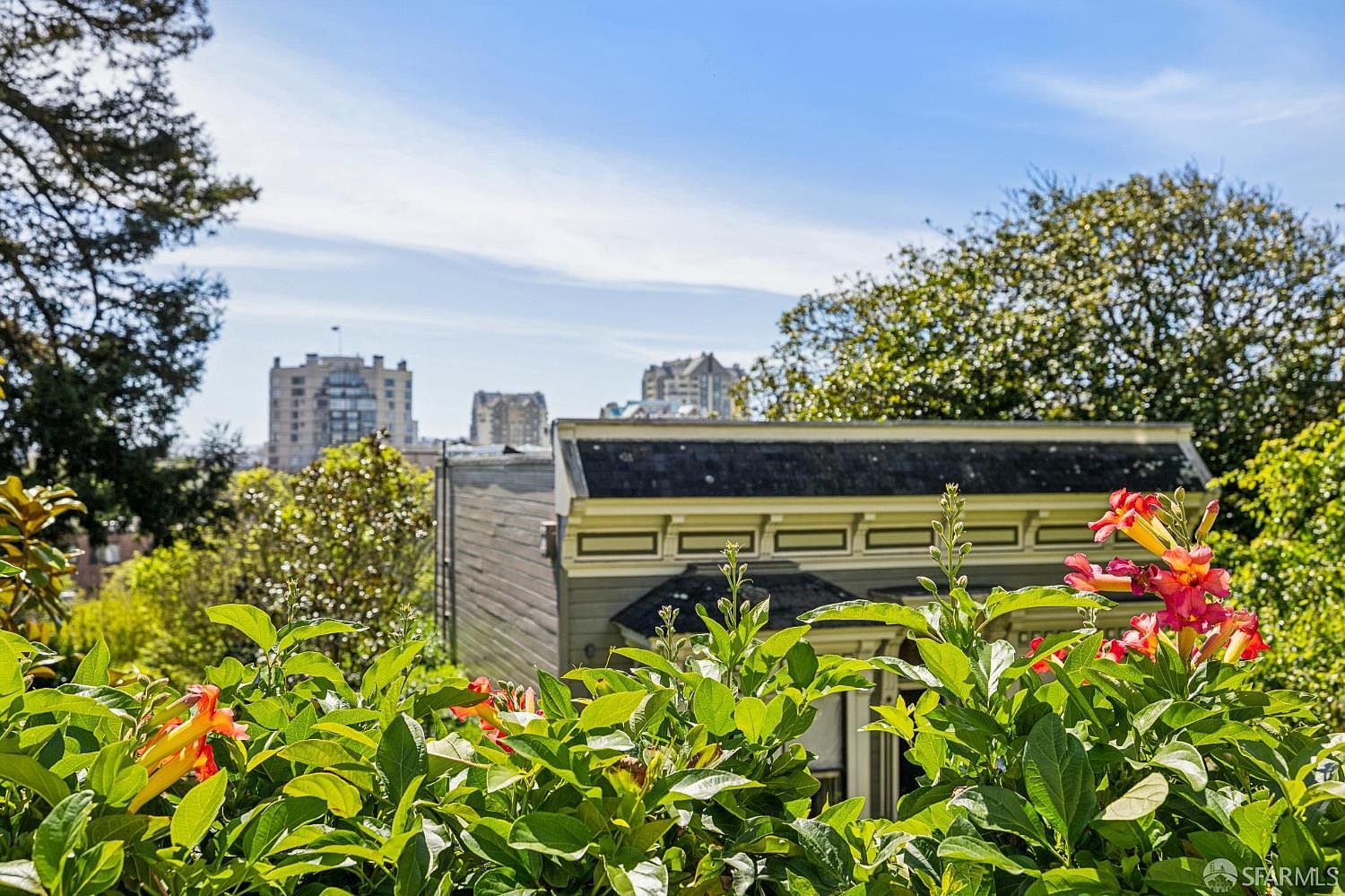 This view captures a lush foreground of vibrant green foliage and trumpet-shaped orange flowers, framing a glimpse of a neighboring home's roofline and siding. In the distance, the urban skyline features multi-story buildings set against a clear blue sky. The perspective is elevated, suggesting a view from a garden or balcony overlooking a residential neighborhood.