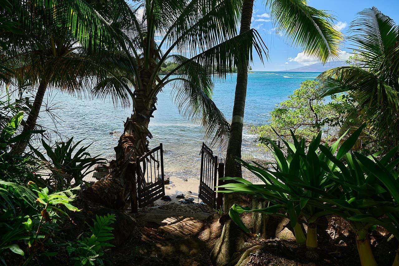 This image showcases a tropical yard or garden leading to a beach. A decorative gate provides access to the sandy shore and ocean, framed by lush palm trees and various tropical plants. The scene evokes a sense of tranquility and private beach access, highlighting the property's desirable location and natural beauty.