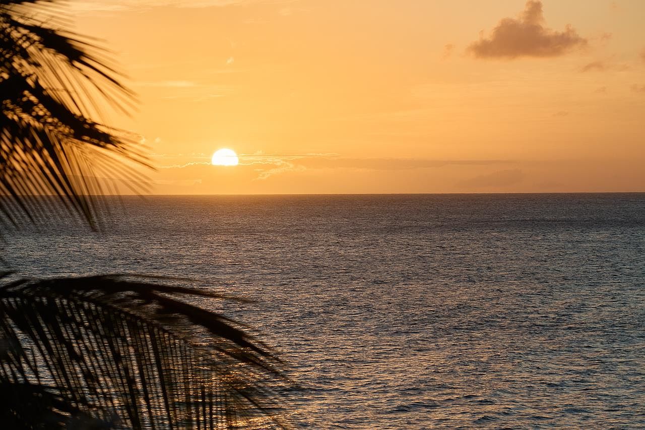 This image captures a serene sunset over the ocean, with the sun partially obscured by clouds on the horizon. Palm fronds frame the view, adding a tropical touch. The warm, golden light reflects on the water, creating a peaceful and inviting atmosphere.