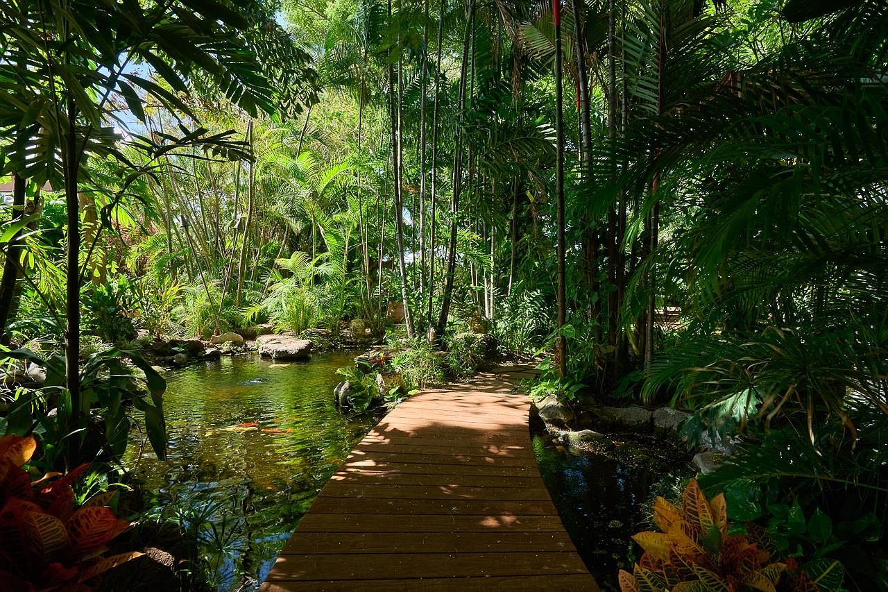This image showcases a lush and tranquil garden featuring a wooden walkway over a serene pond. The landscape is densely populated with various tropical plants and trees, creating a secluded and peaceful atmosphere. The scene evokes a sense of natural beauty and relaxation, ideal for a buyer seeking a private outdoor retreat.
