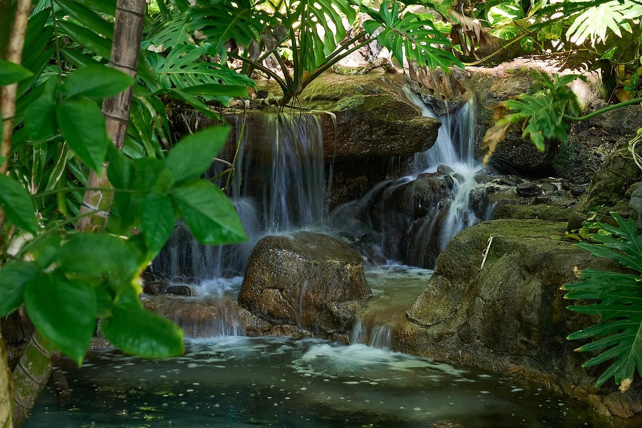 This image showcases a lush garden featuring a small, picturesque waterfall cascading over moss-covered rocks into a serene pond. The scene is framed by vibrant green foliage, creating a tranquil and inviting atmosphere. This water feature adds a unique and calming element to the property's outdoor space.