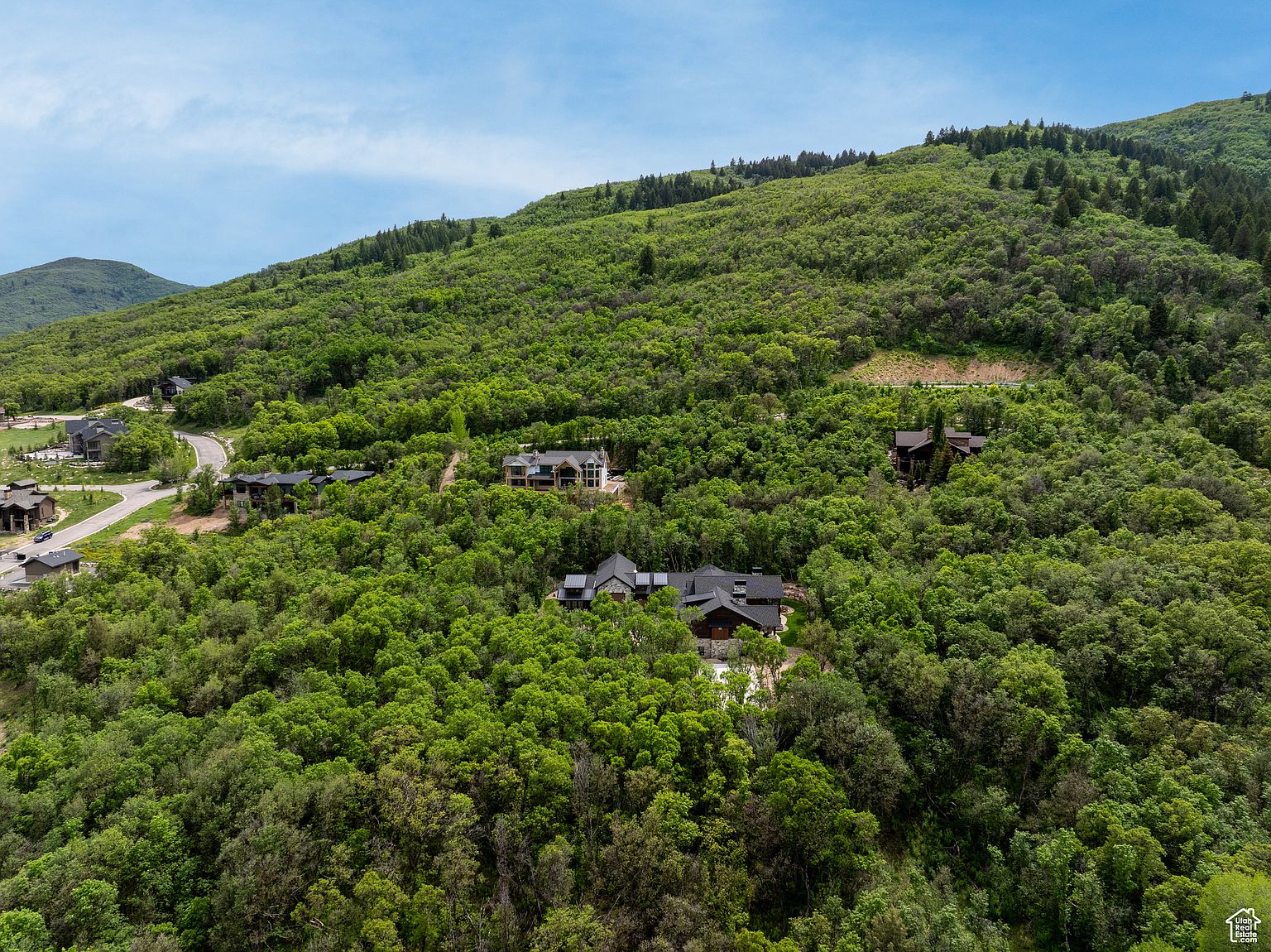 This aerial view showcases a collection of luxury homes nestled within a lush, green hillside. The houses are surrounded by dense trees, offering privacy and a sense of seclusion. A winding road connects the properties, and the overall impression is one of upscale living in a natural setting.