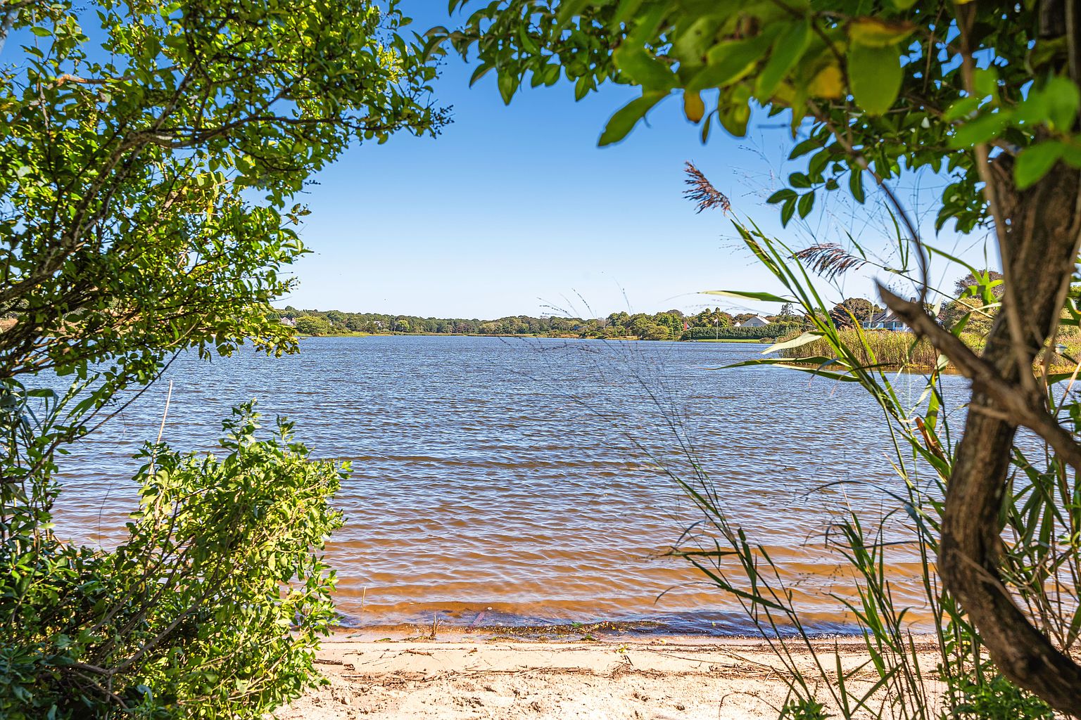 This scenic view captures a tranquil lake framed by lush green foliage and tall grasses in the foreground. The sandy shoreline leads directly into the calm, rippling water, which reflects the clear blue sky above. The perspective is framed through natural vegetation, creating a peaceful and inviting atmosphere typical of a waterfront community amenity.