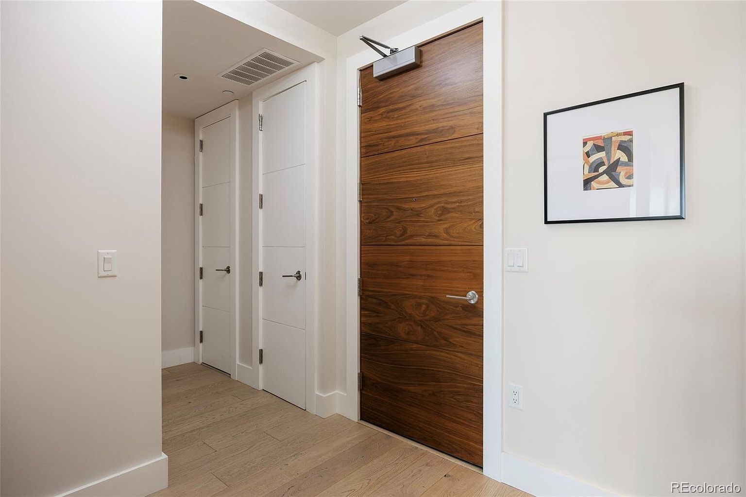 This interior shot showcases a hallway with light wood flooring and neutral-toned walls. Two white doors with modern hardware are visible, along with a striking wood-paneled door featuring a silver handle and a door closer mechanism. A framed piece of art hangs on the wall, adding a touch of sophistication to the space.