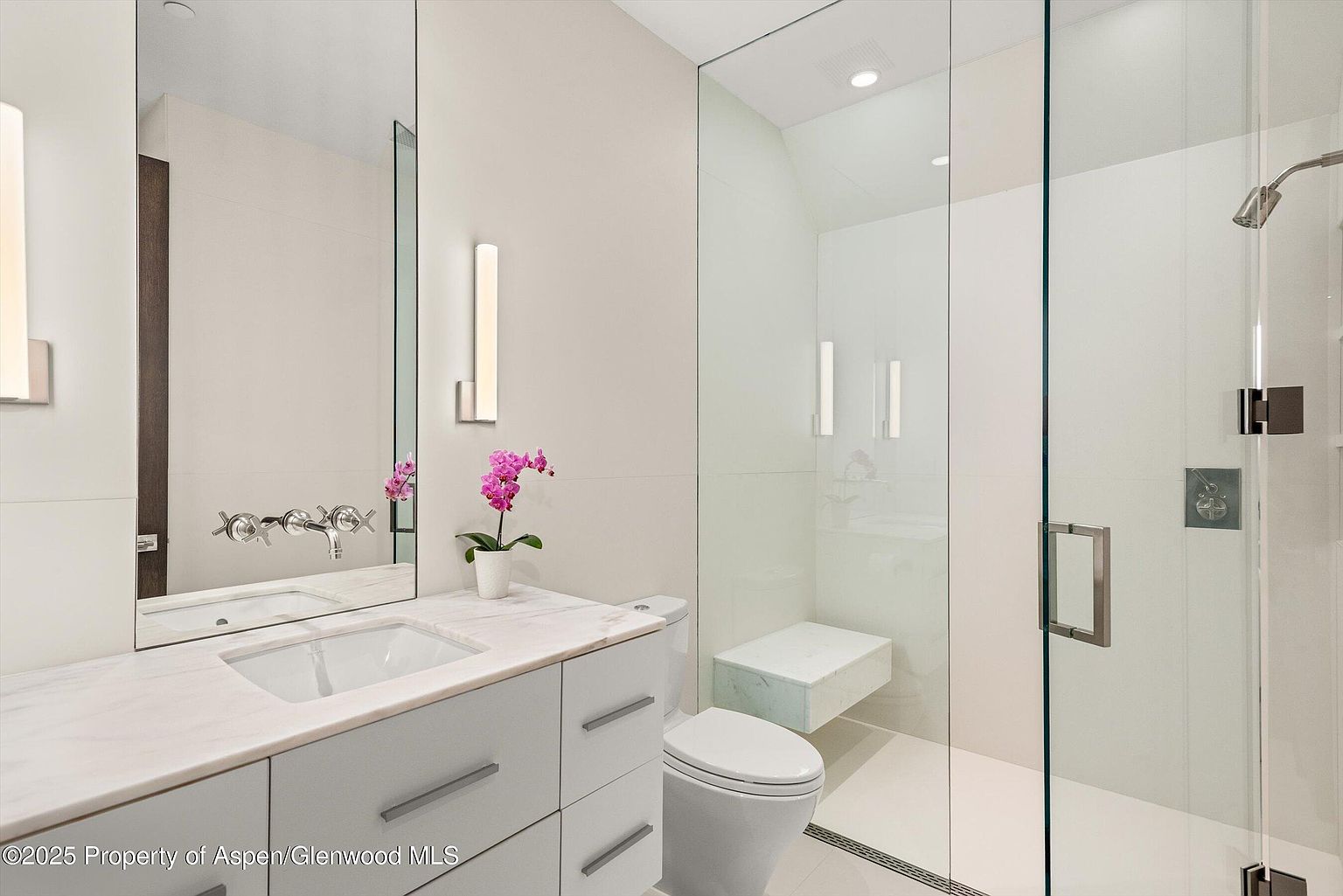 This is a modern primary bathroom featuring a sleek vanity with a white countertop and light gray cabinetry. A large mirror reflects the space, and a glass-enclosed shower with a built-in bench adds to the contemporary design. The bathroom also includes a toilet and is decorated with a small orchid plant, creating a clean and luxurious atmosphere.