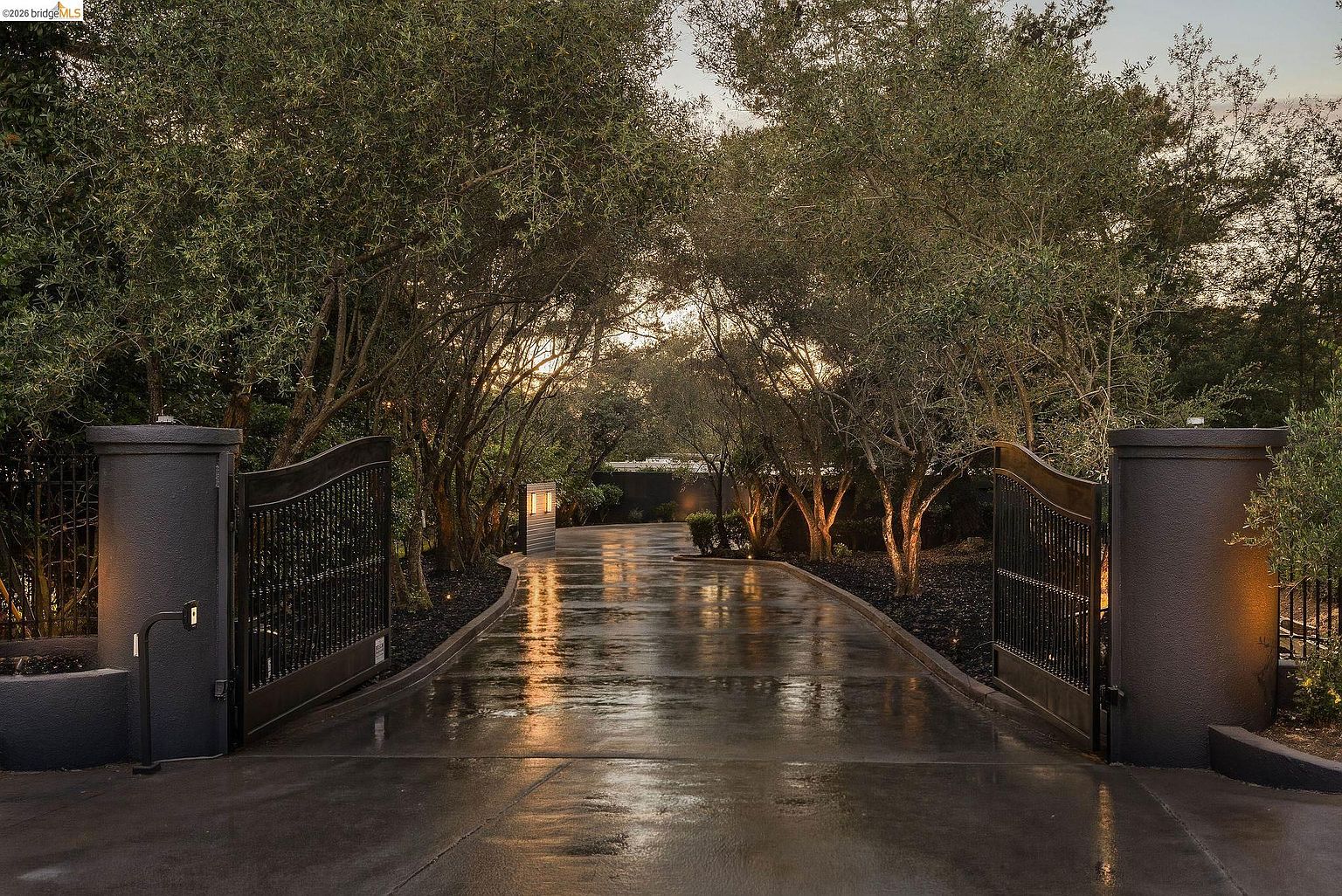 This striking entryway features a grand, wet concrete driveway framed by elegant, dark metal gates and illuminated stone pillars. Lush, mature trees arch over the path, creating a dramatic, tunnel-like effect that leads toward the property. The scene is captured at dusk, with warm accent lighting highlighting the textures of the driveway and the surrounding foliage, evoking a sense of luxury and privacy.