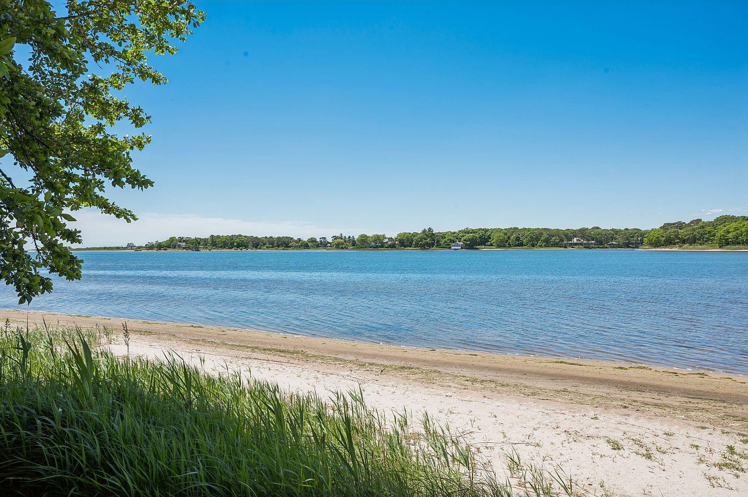 This scenic view captures a tranquil waterfront setting, featuring a sandy beach shoreline bordered by lush green grasses and overhanging tree branches in the foreground. The calm, blue water stretches toward a distant, tree-lined horizon under a clear, bright sky. The perspective is from the shoreline, offering a peaceful and expansive view of the natural landscape.