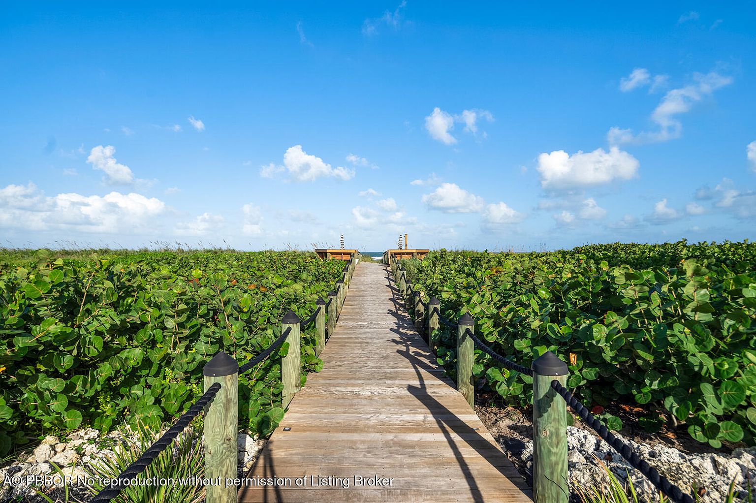 This image showcases a wooden boardwalk leading through lush greenery towards the ocean under a bright blue sky dotted with fluffy clouds. The boardwalk is lined with wooden posts and rope, creating a pathway through the dense vegetation. The scene evokes a sense of tranquility and natural beauty, highlighting the property's access to a serene outdoor environment.
